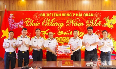 Naval Service inspects, offers Tet wishes to Naval Region 2